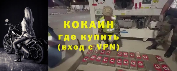 индика Балабаново